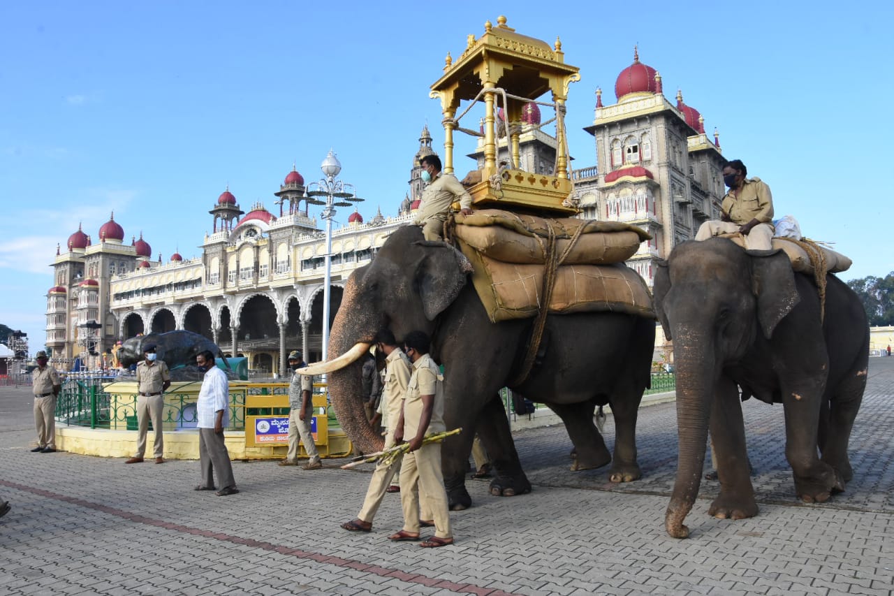 mysuru jamboo Savari parade