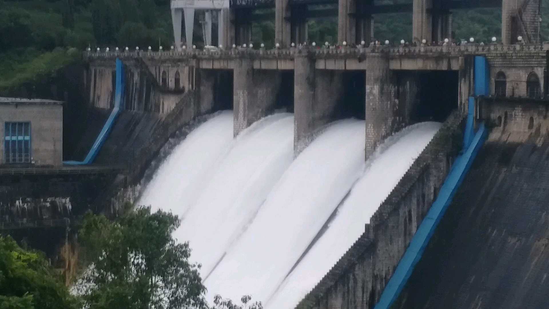 farmers are happy as bhadra dam fills