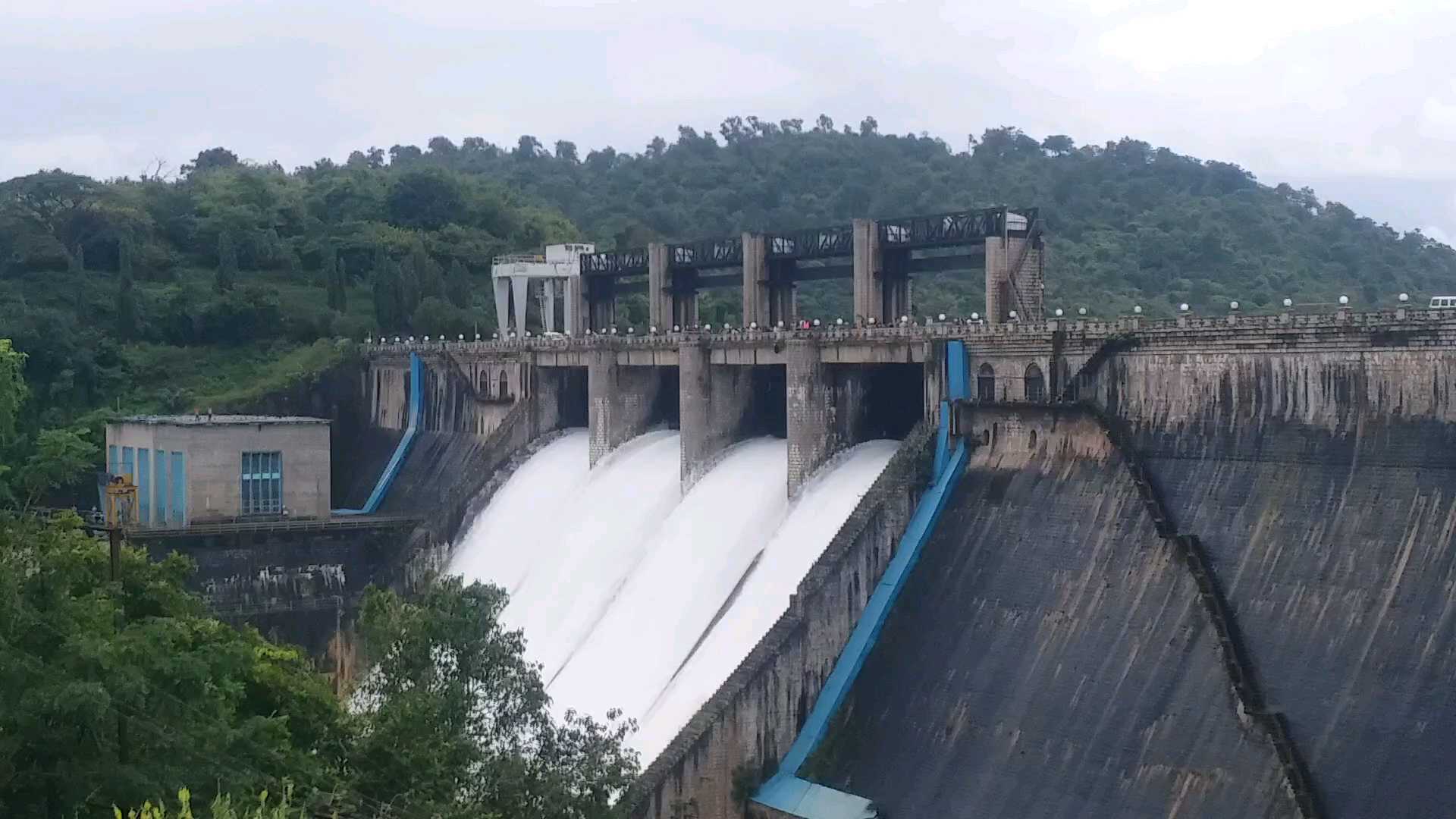 farmers are happy as bhadra dam fills