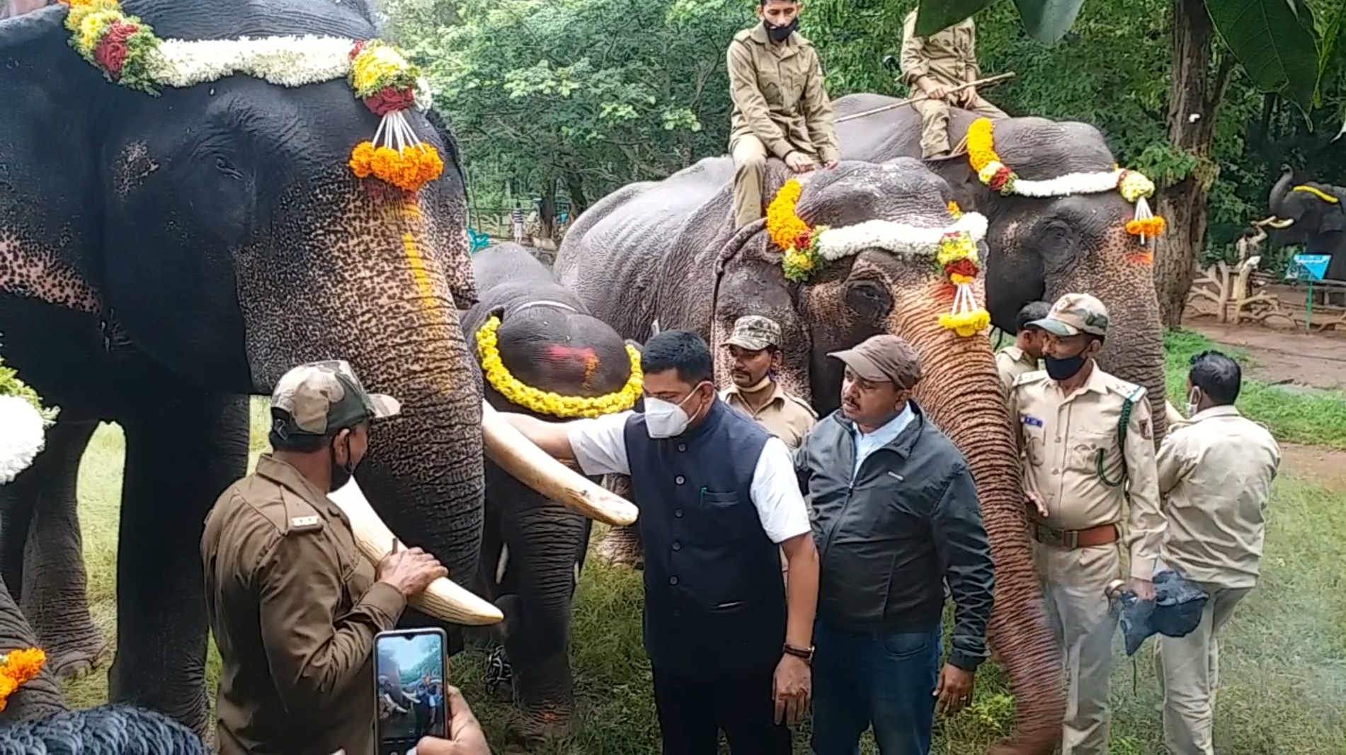 World elephant day celebrated at sakrebailu elephant camp