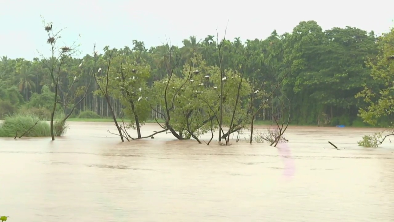 Mandagadde Bird Sanctuary is in danger condition