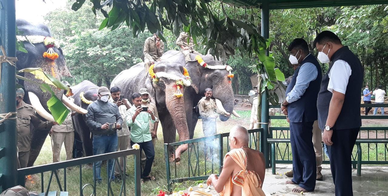 World elephant day celebrated at sakrebailu elephant camp