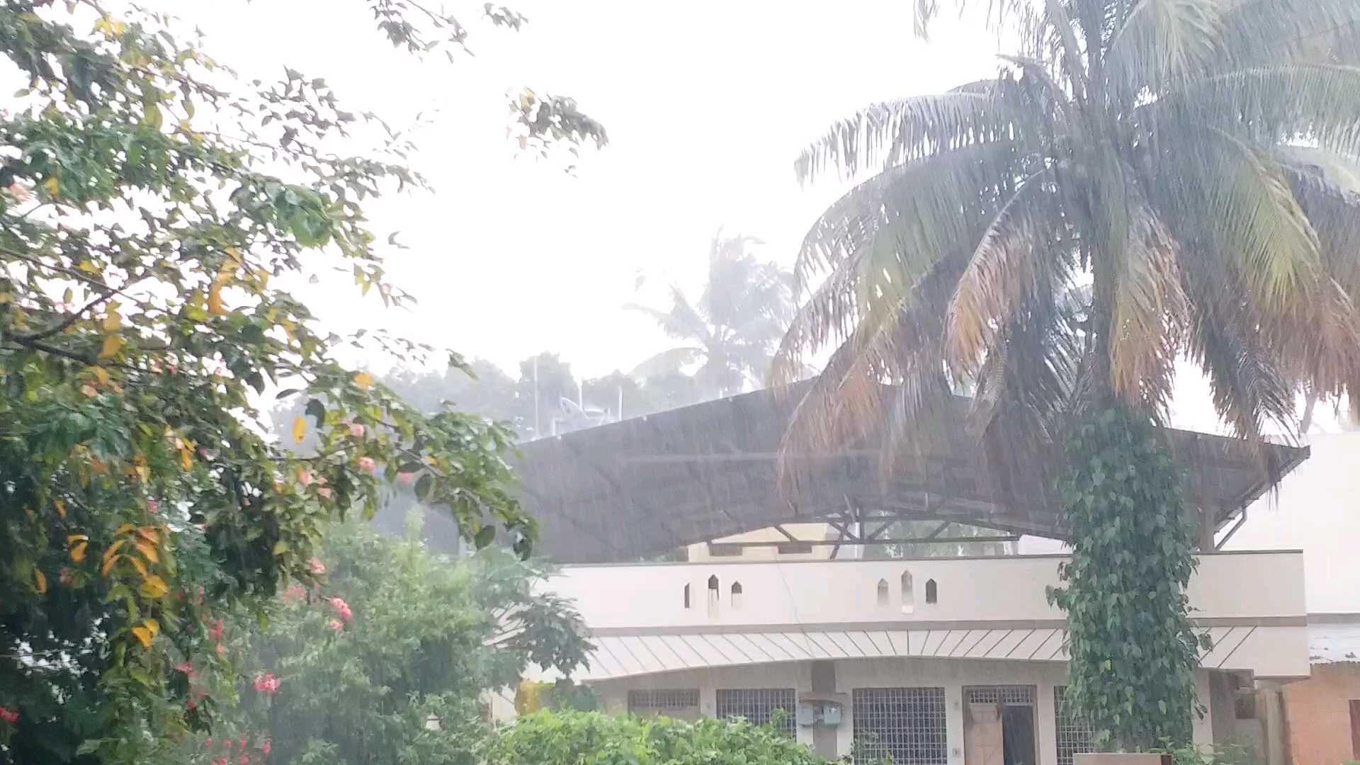 Widespread rainfall likely over coastal Andhra Pradesh