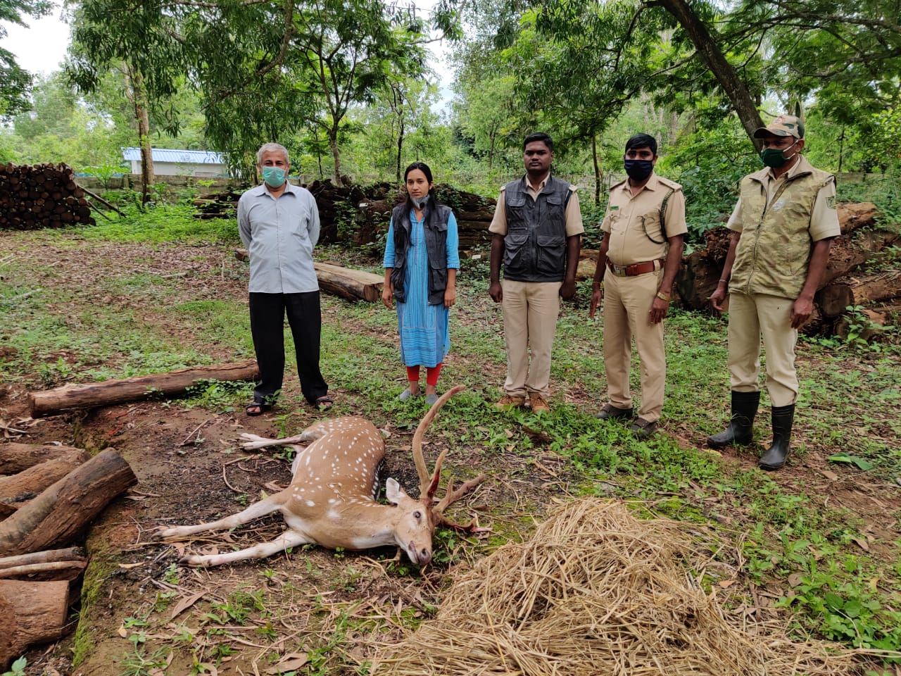 Dog-attacked deer die of heart attack