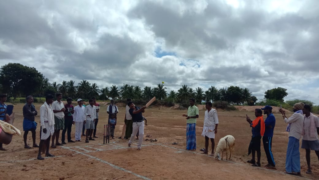 sheep prize in cricket tournament news tumakuru