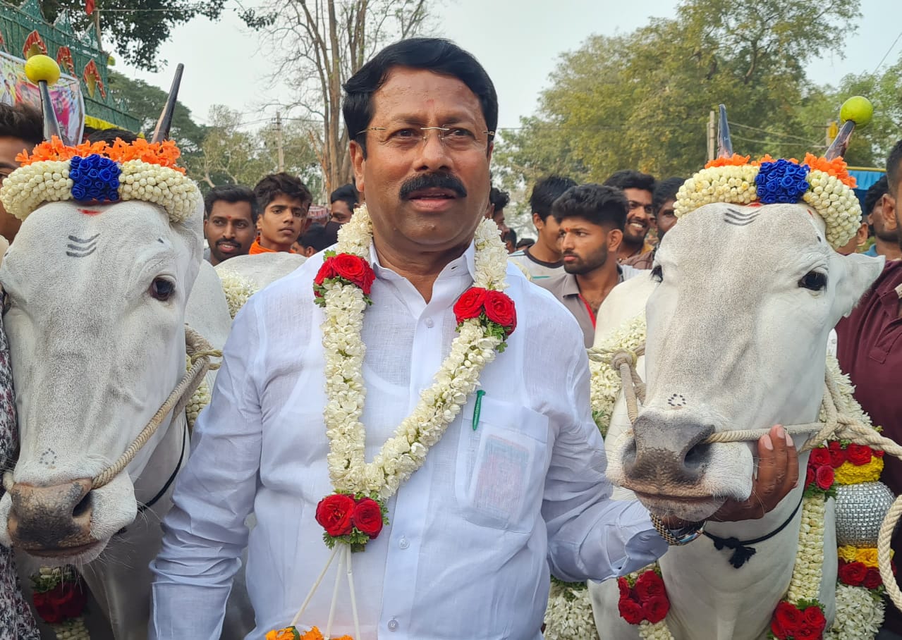 Turuvekere MLA buys hallikar breed bull