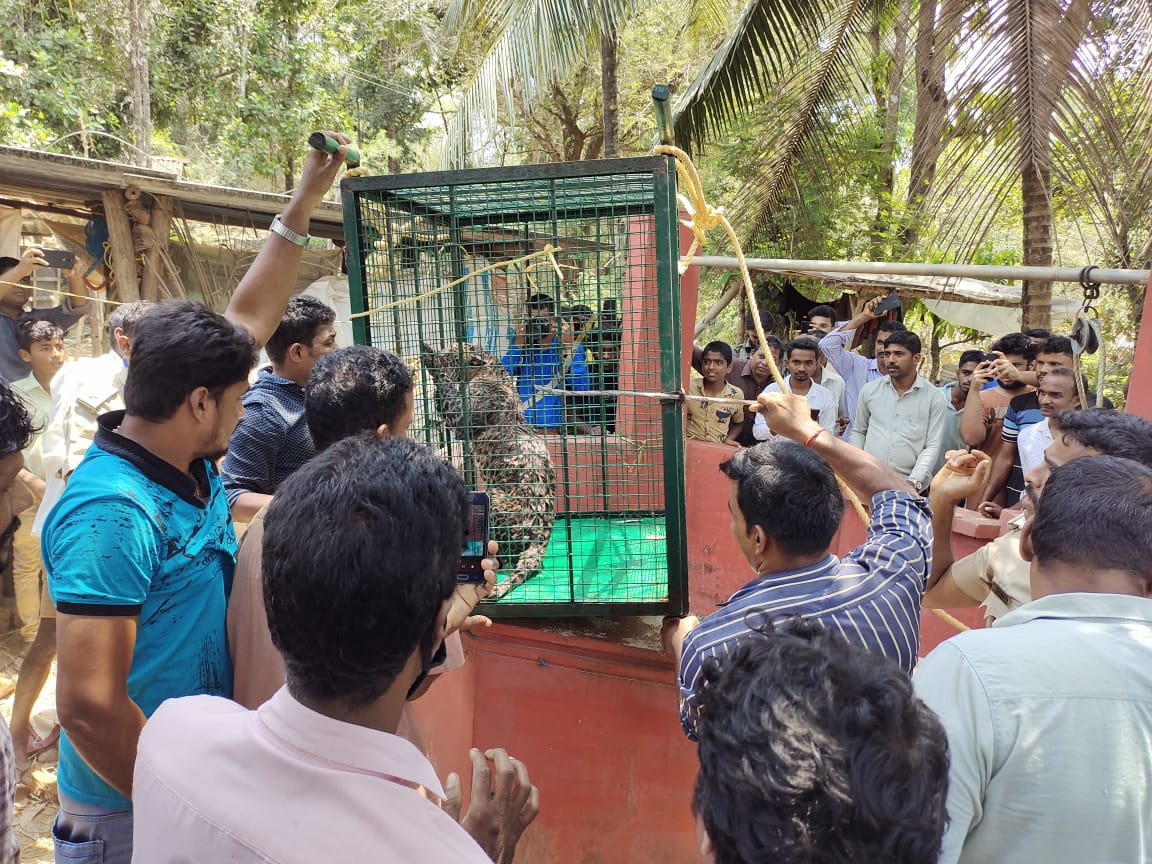 Forest Department personnel who protected the leopard from the well