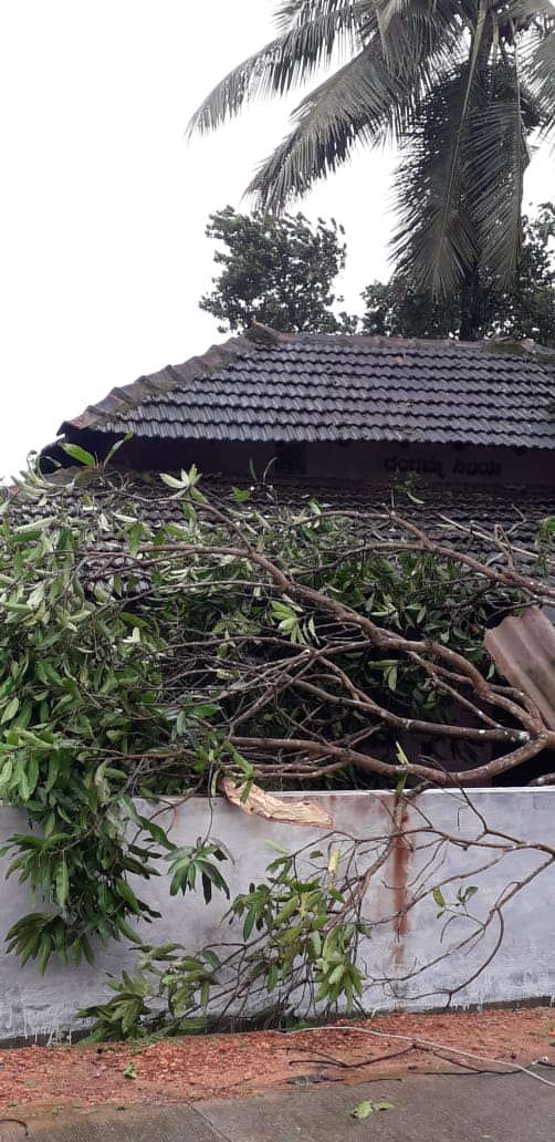 23 houses damaged due to torrential rain