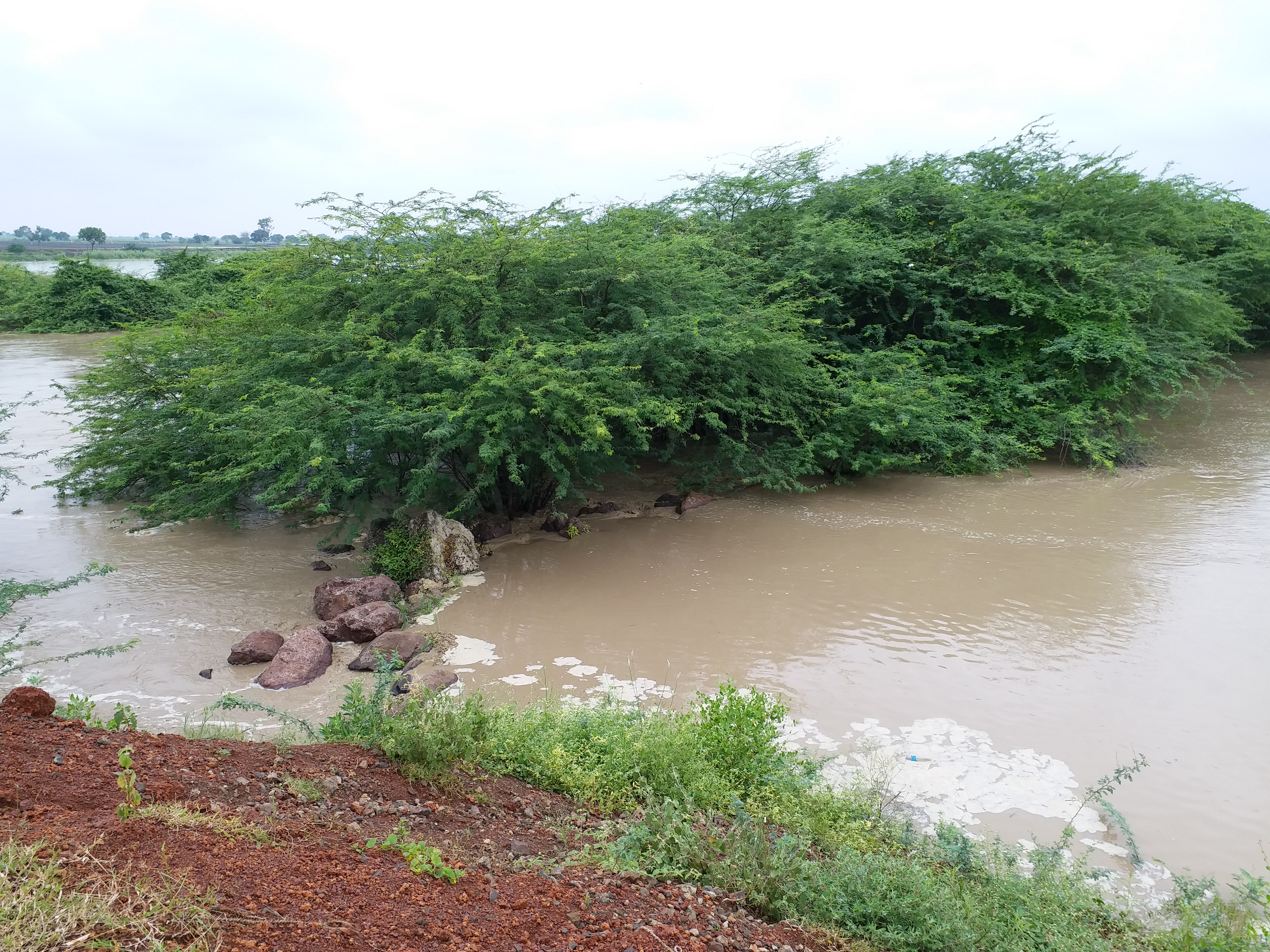 ಡೋಣಿ ನದಿ ಹೊಳೆತ್ತಲು ಎರಡು ದಶಕದಿಂದ ಆಗ್ರಹ