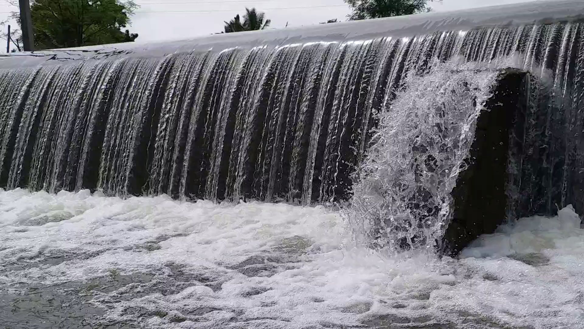 lakes over flow in vijayapur district