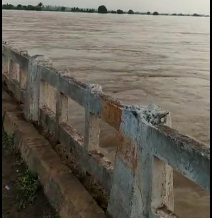 Water levels  increase in Bhima river