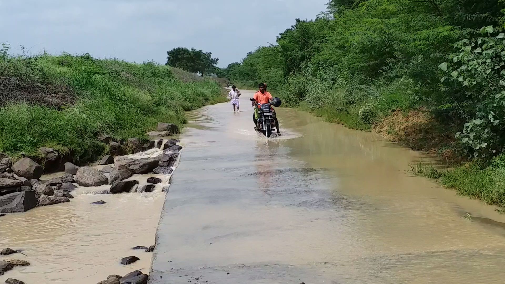 Crops destroyed from heavy rain in Vijayapura