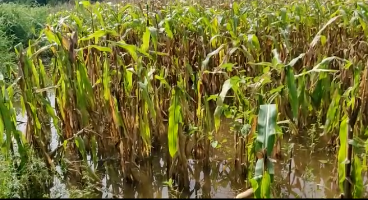 CM BSY to conduct aerial survey of flood-affected area Tomorrow