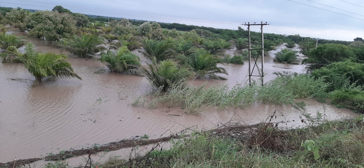 CM BSY to conduct aerial survey of flood-affected area Tomorrow