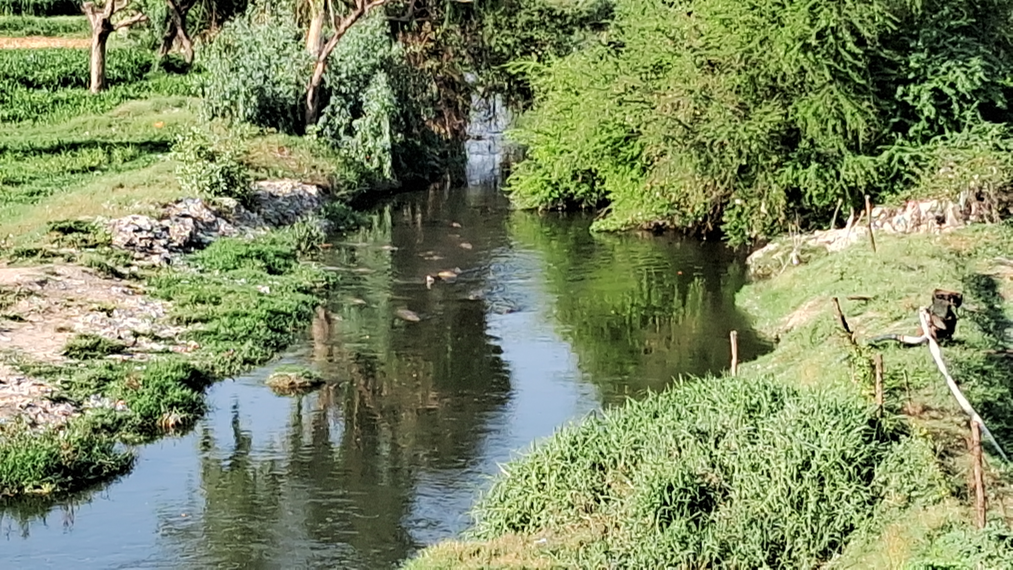 Crocodile View Point