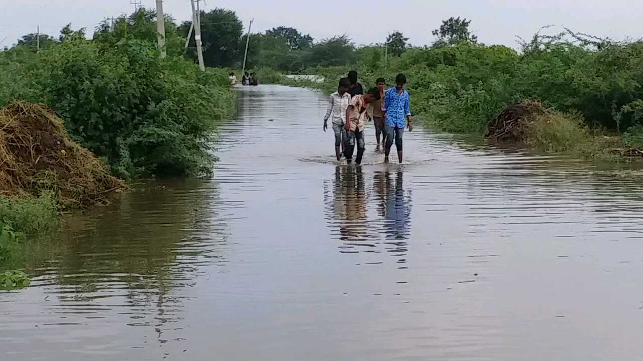 stormy rain in yadgir, mla venkat reddy visited the affected areas in yadgir karnataka