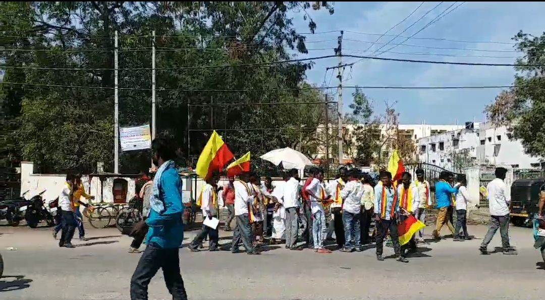 Kannada organizations protest in  yadgiri