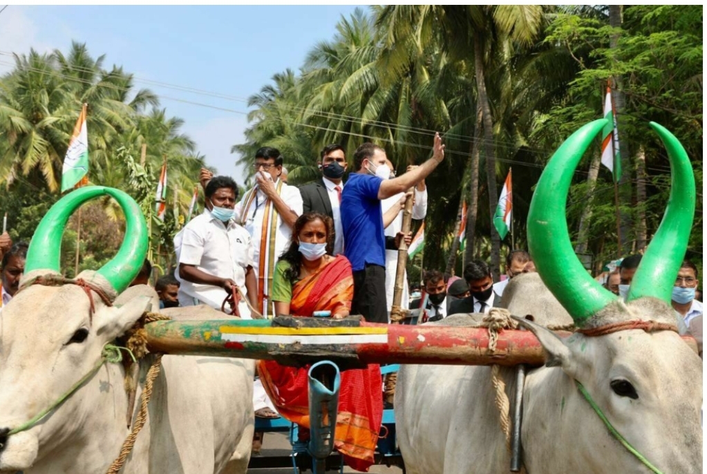 மாட்டு வண்டியில் பரப்புரை செய்த ராகுல் காந்தி