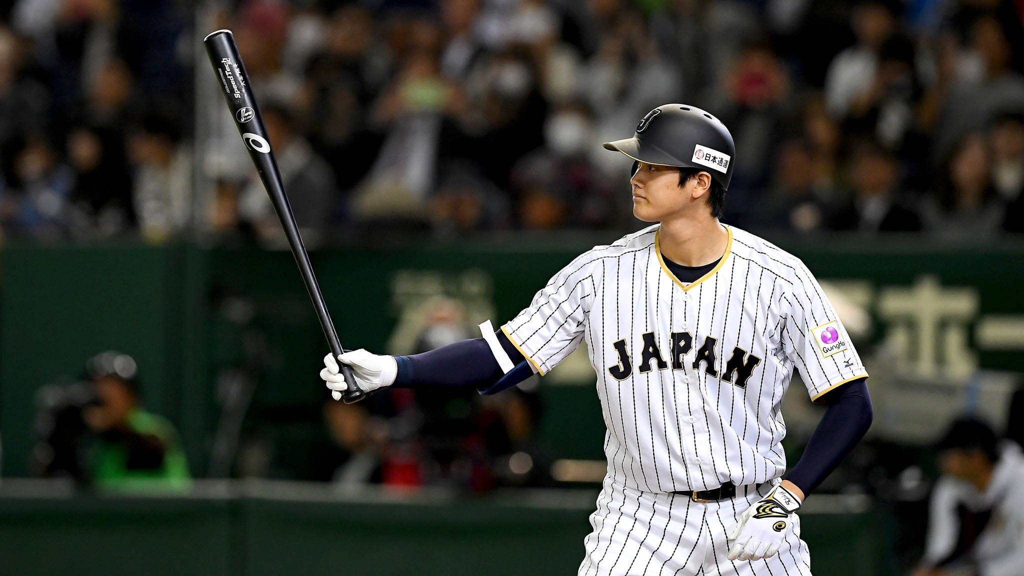 Japan baseball league