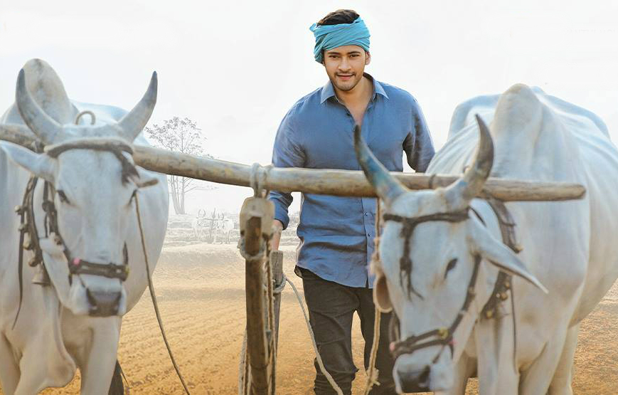 mahesh babu