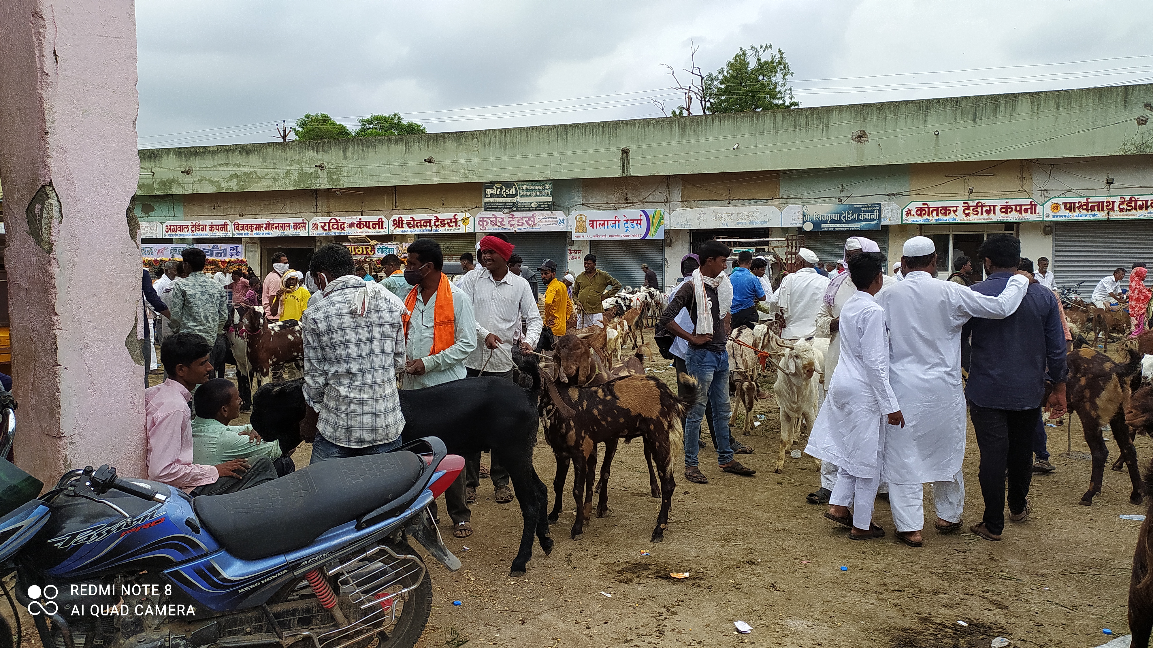 A one-day goat market in view of Eid-ul-Adha in Malegaon