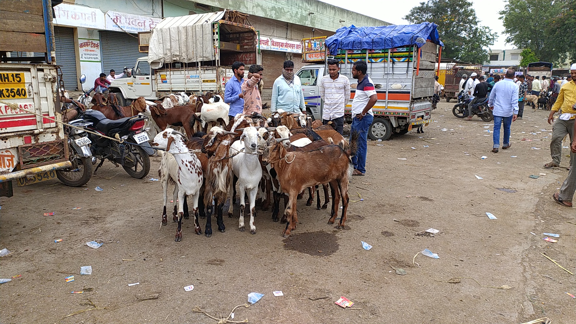 A one-day goat market in view of Eid-ul-Adha in Malegaon