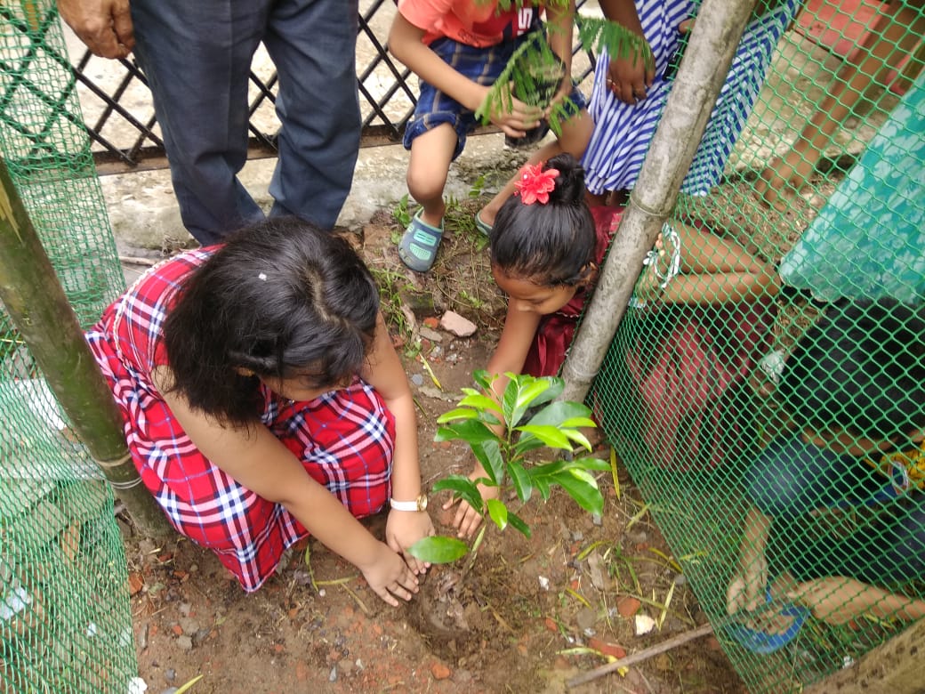 children's ngo cherry help celebrate ban mahutshav at mariani