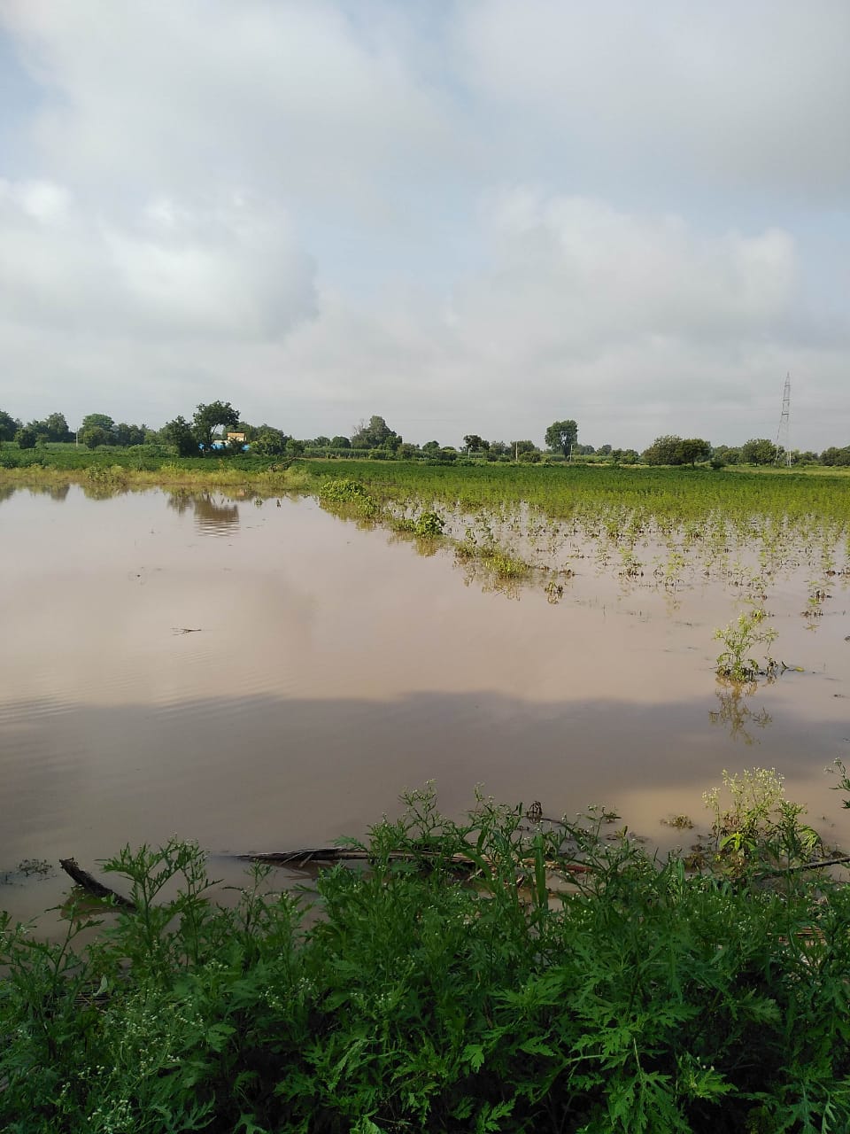 heavy rain in ahmednagar