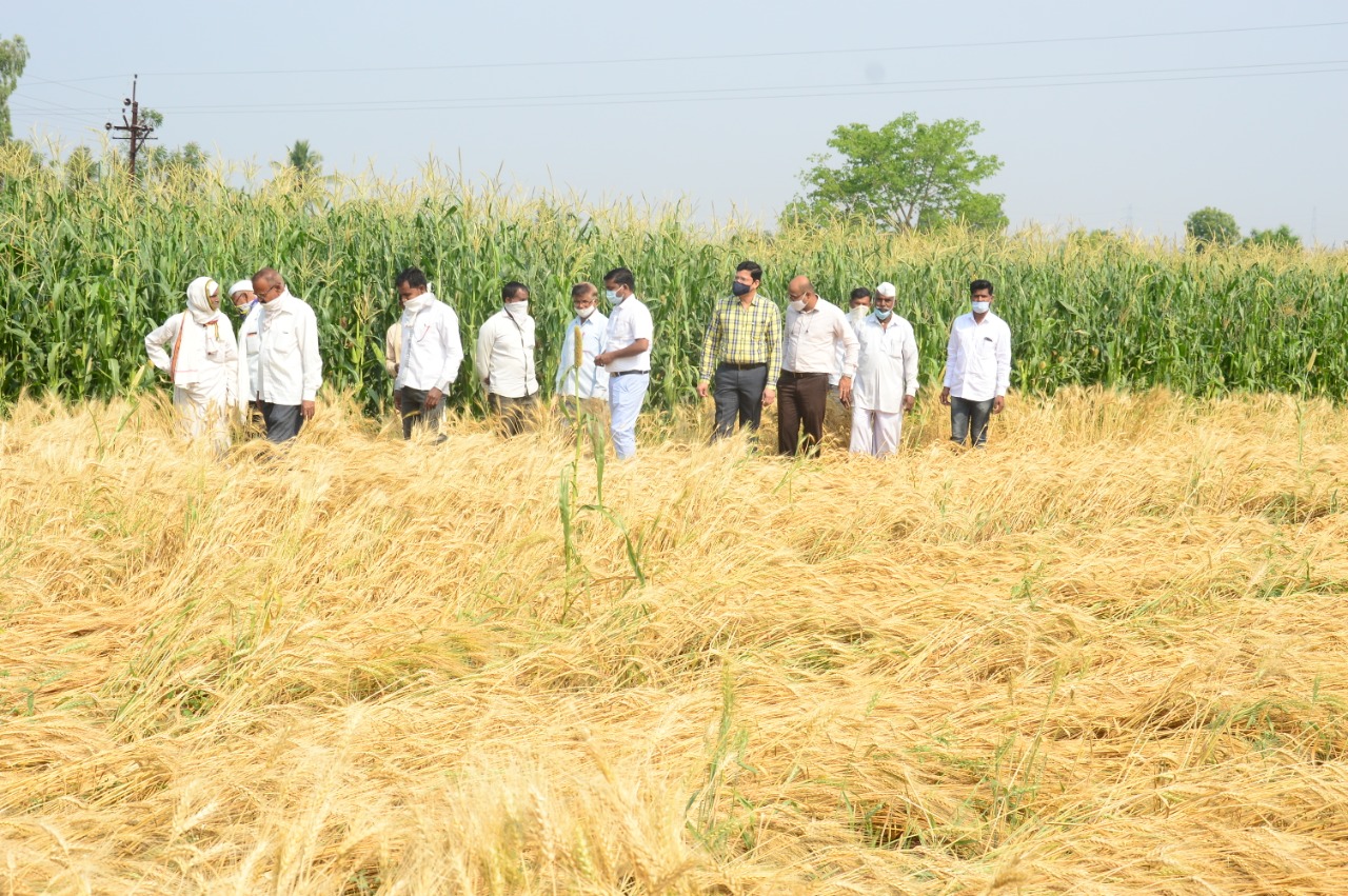 Revenue and Agriculture Department Ahmednagar, hailstrom in Ahmednagar