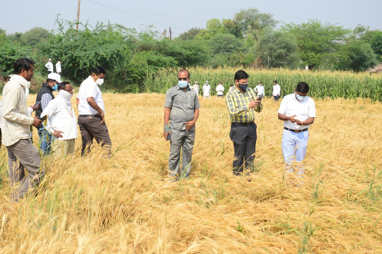 Revenue and Agriculture Department Ahmednagar, hailstrom in Ahmednagar