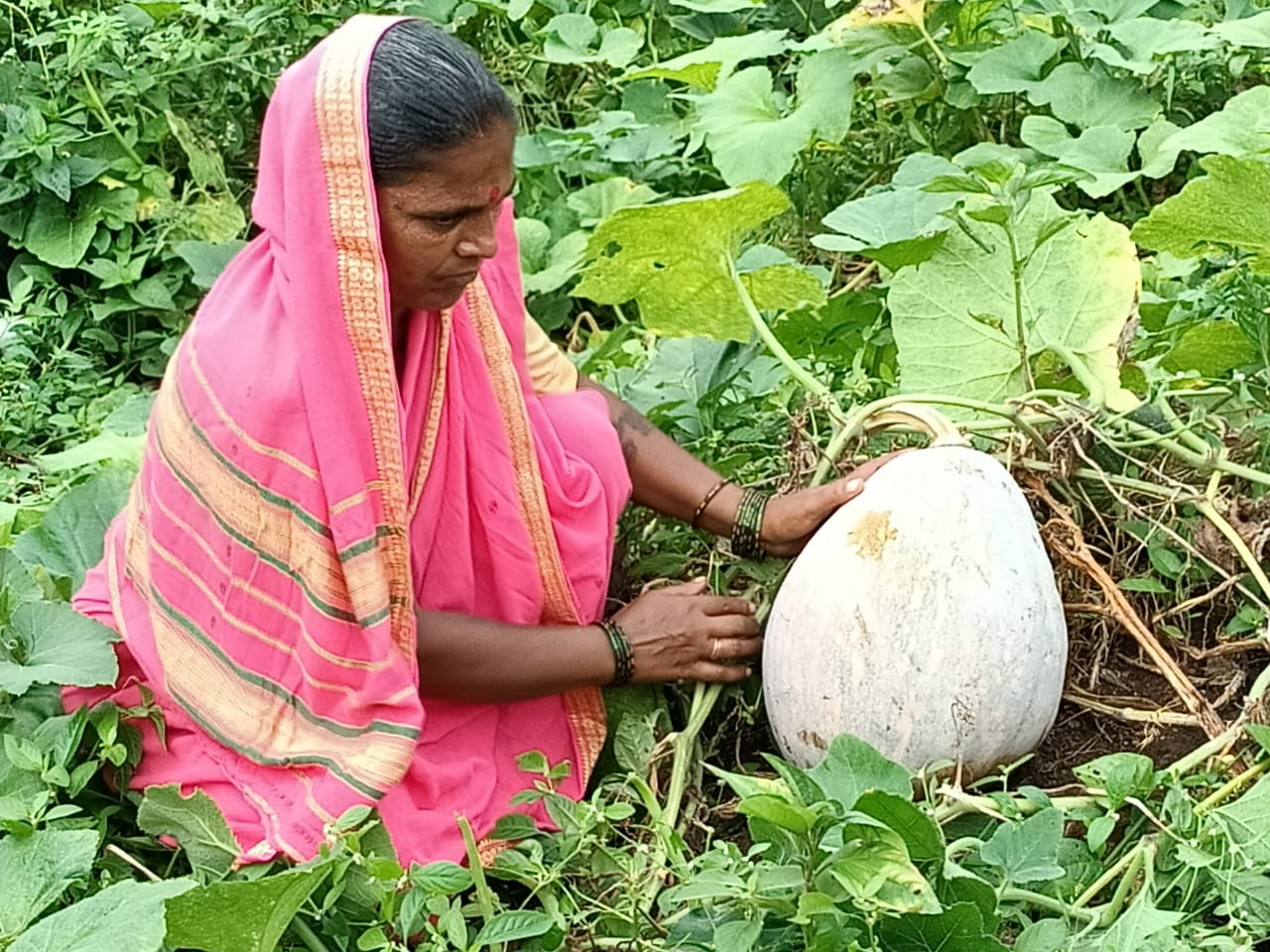 ममताबाई देवराम भांगरे