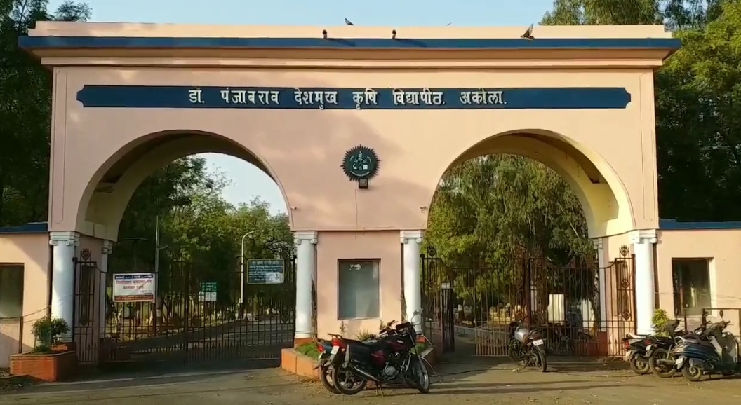 Punjab university AKola