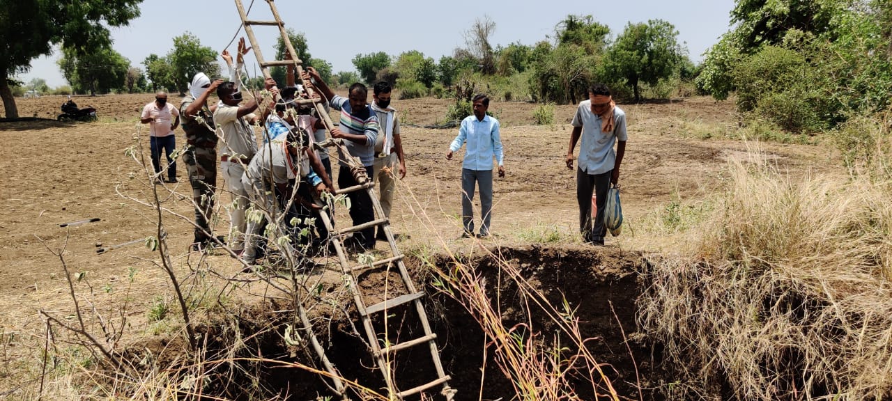 वन विभागाची दमछाक... शेवटी बिबट्याने स्वत:च करून घेतली विहिरीतून सुटका