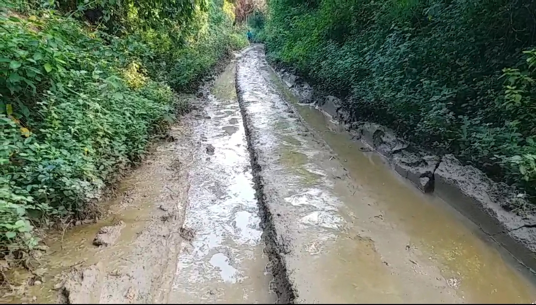 road to the farm is bad, farmers are in crisis amravati