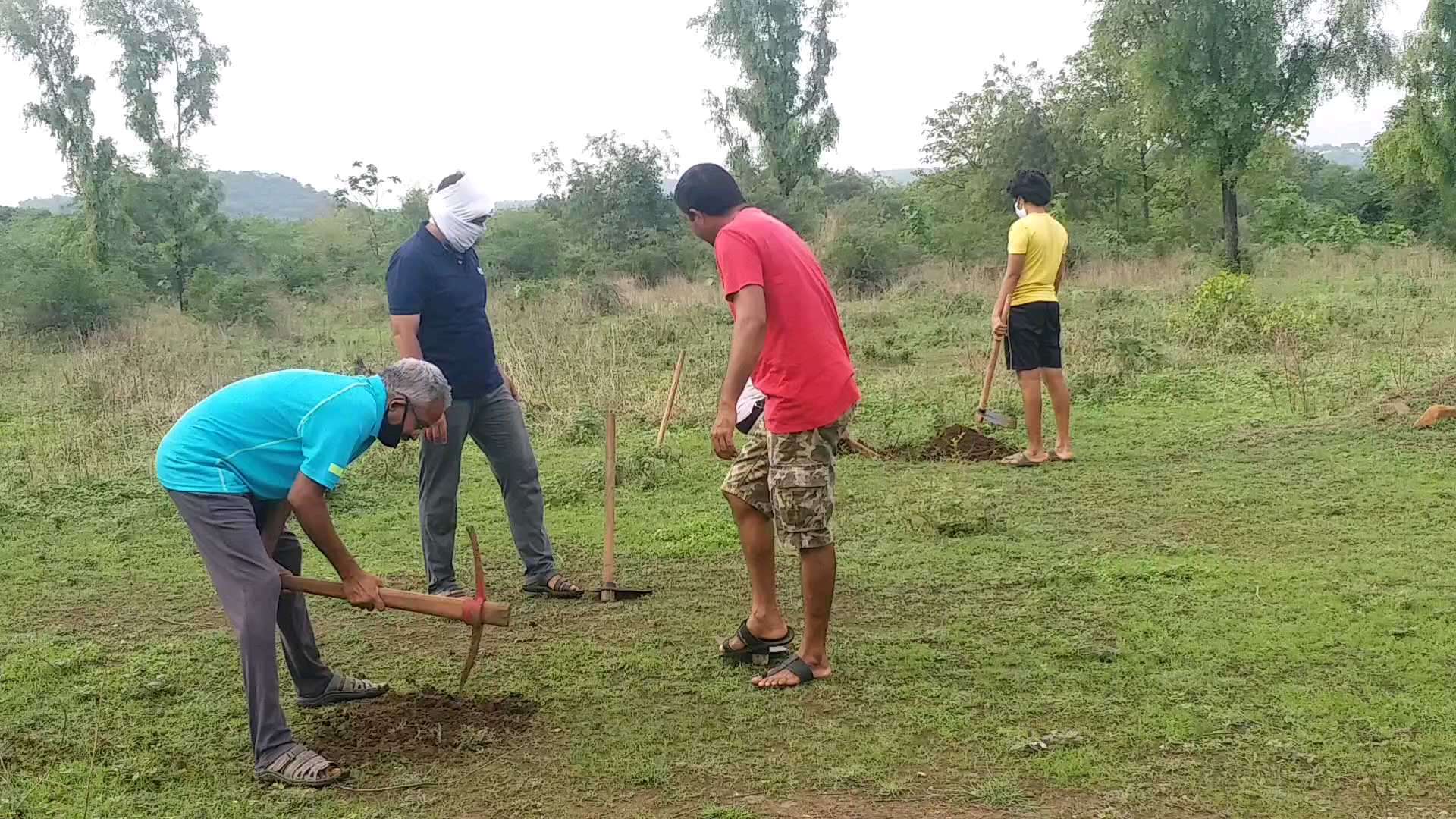 1000 trees will be planted by Disha Foundation in amravati