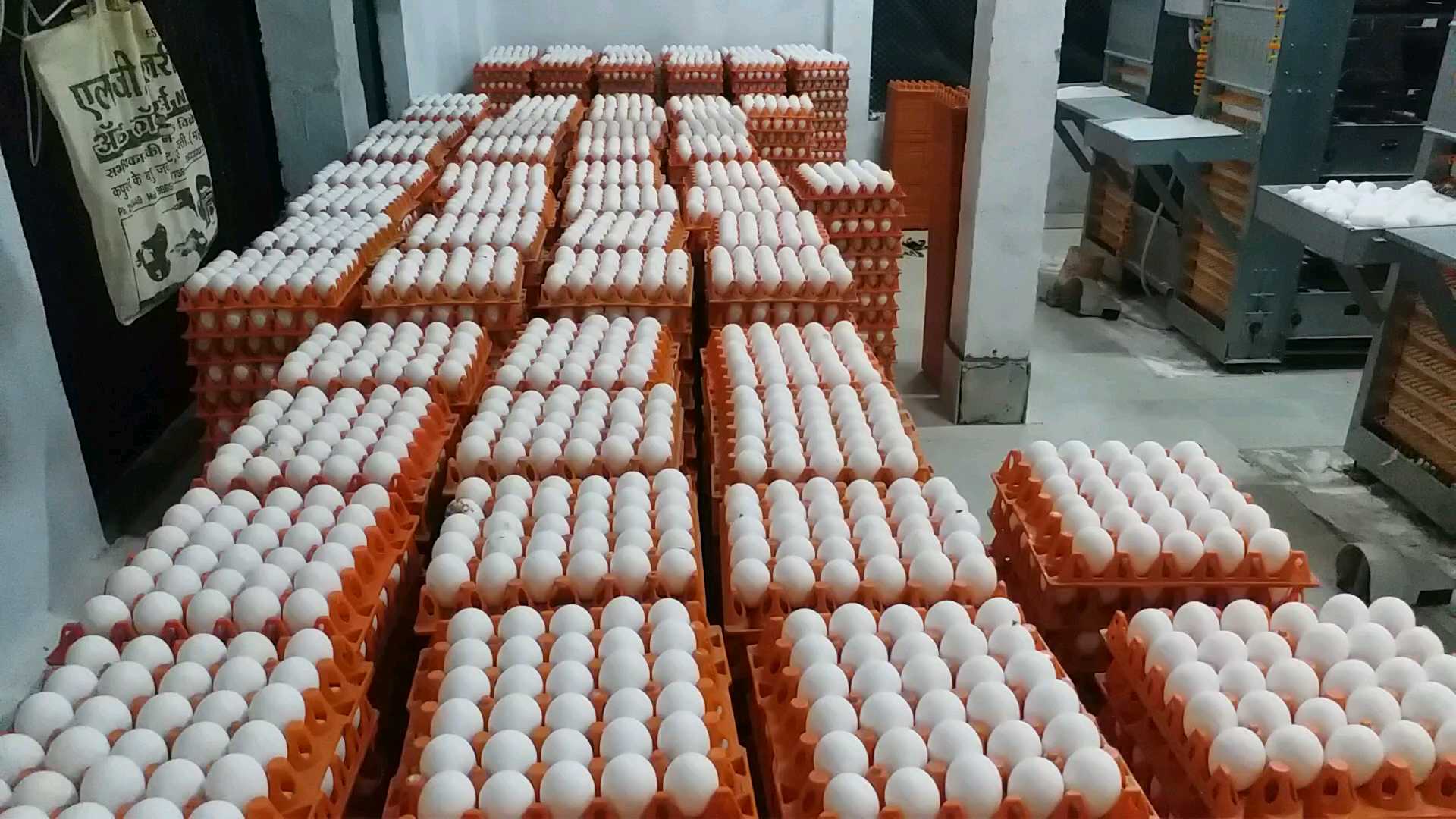 modern poultry farm in india