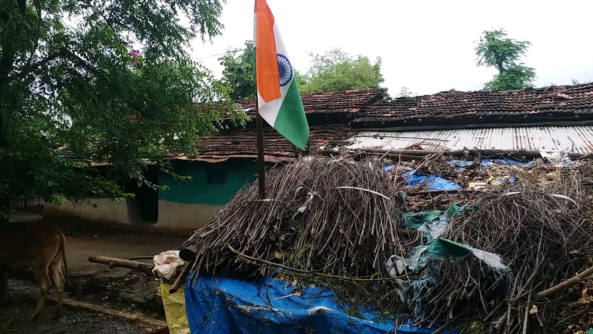 स्वातंत्र्यच्या अमृत महोत्सव