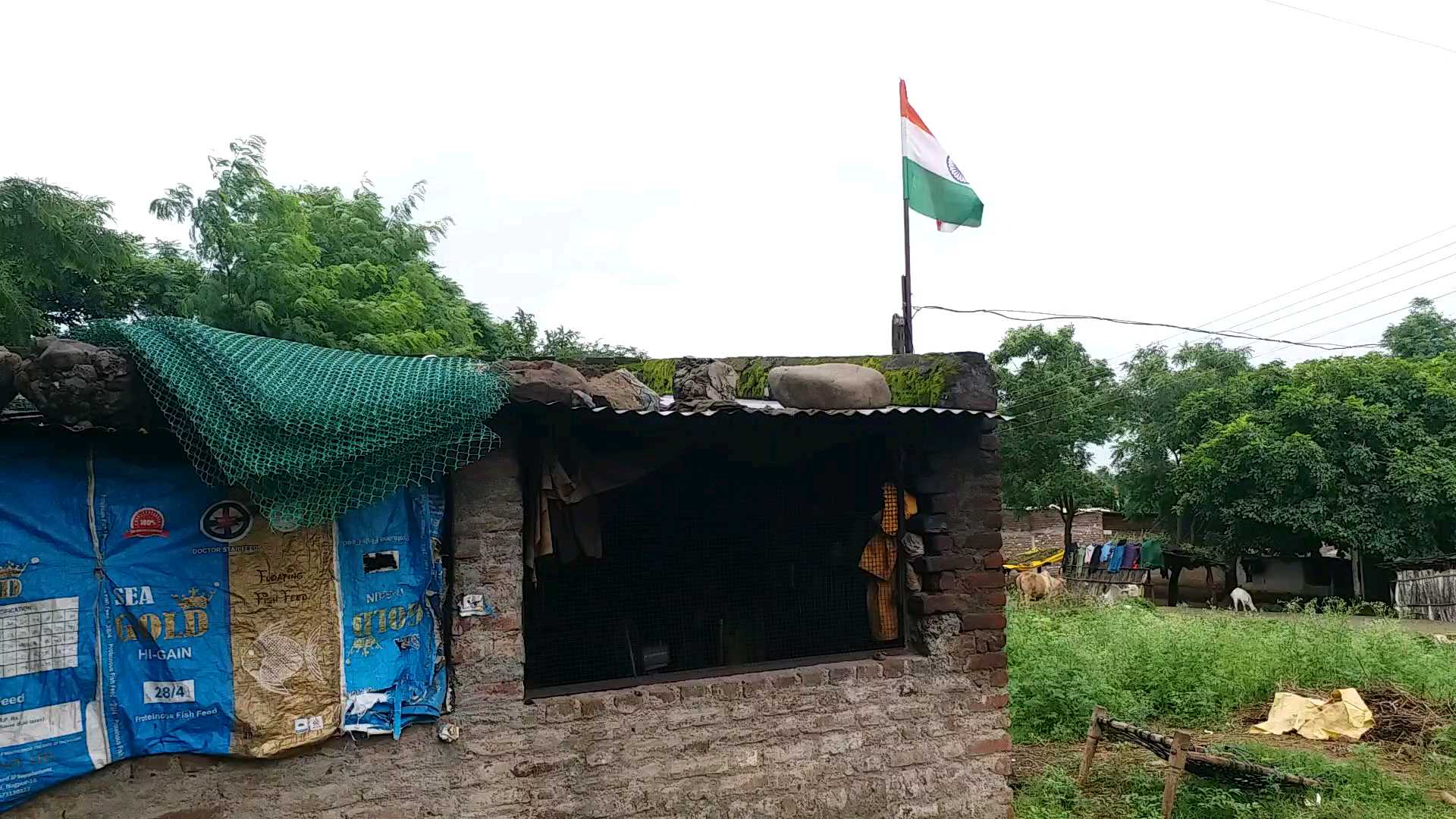 Harghar Tricolor Campaign