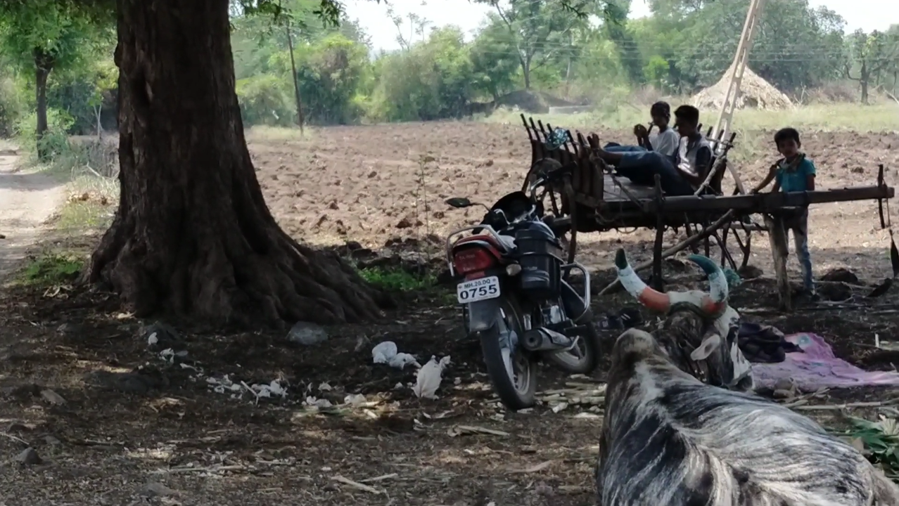 متعلقہ تصویر