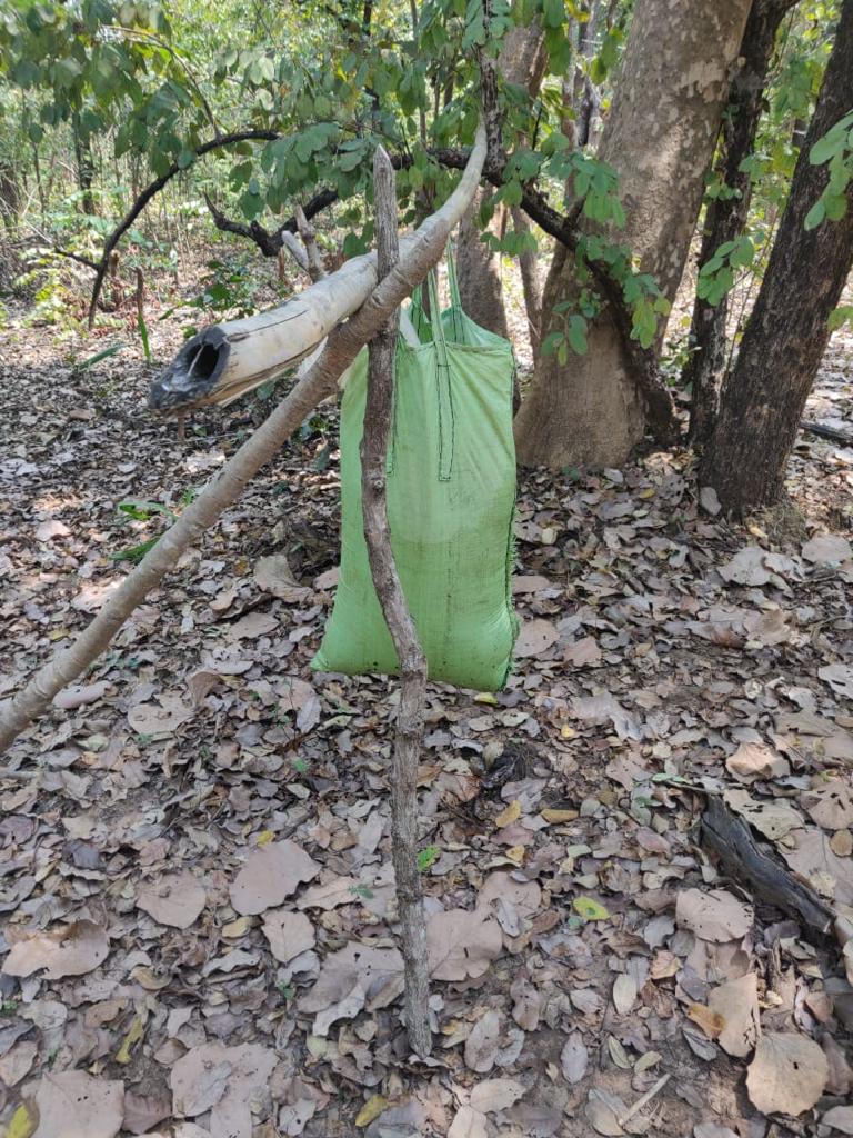 naxalite in gadchiroli