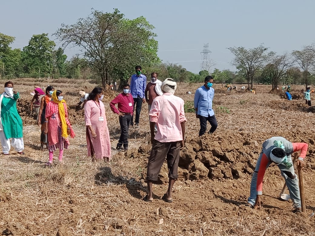 रोजगार हमी योजनेतून गडचिरोली जिल्ह्यातील 30 हजार नागरिकांना काम