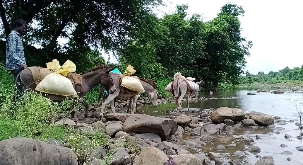 hingoli rural area