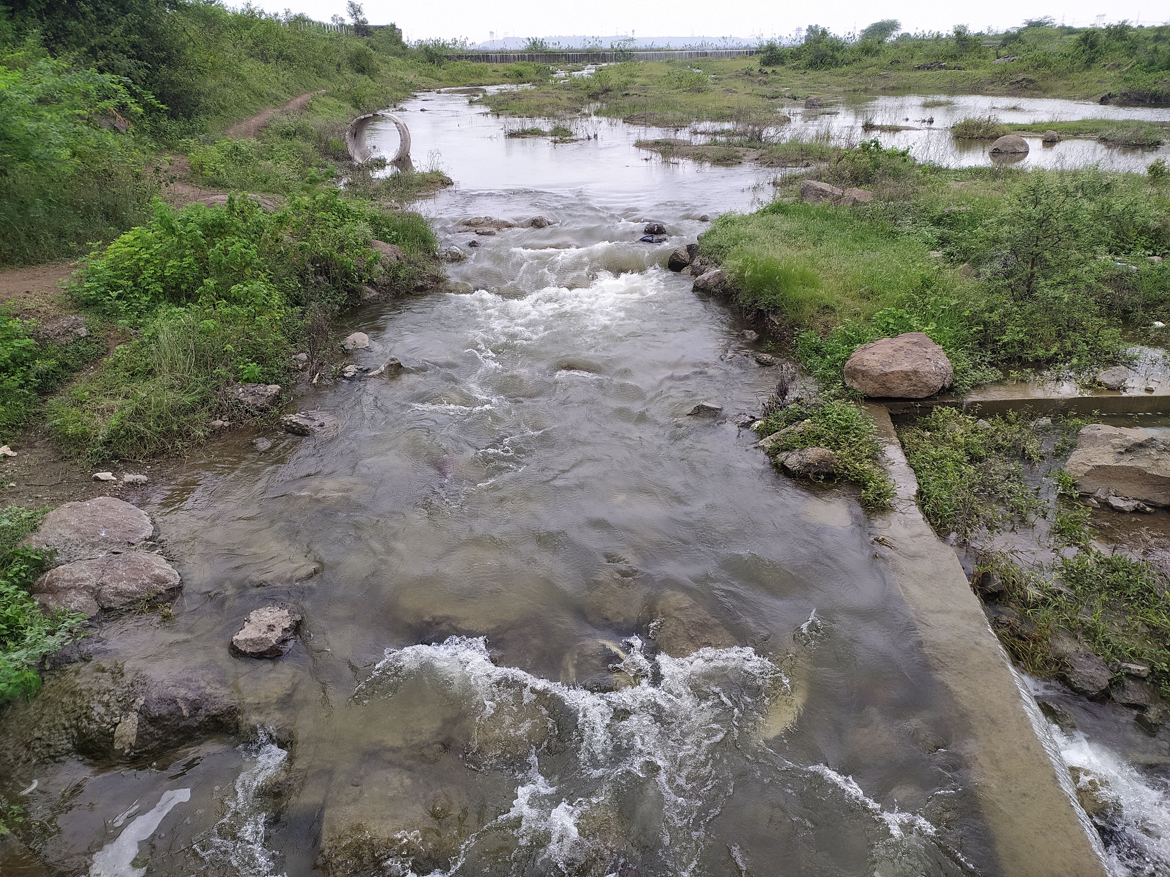 जालना घाणेवाडी जलाशय पूर्ण भरला