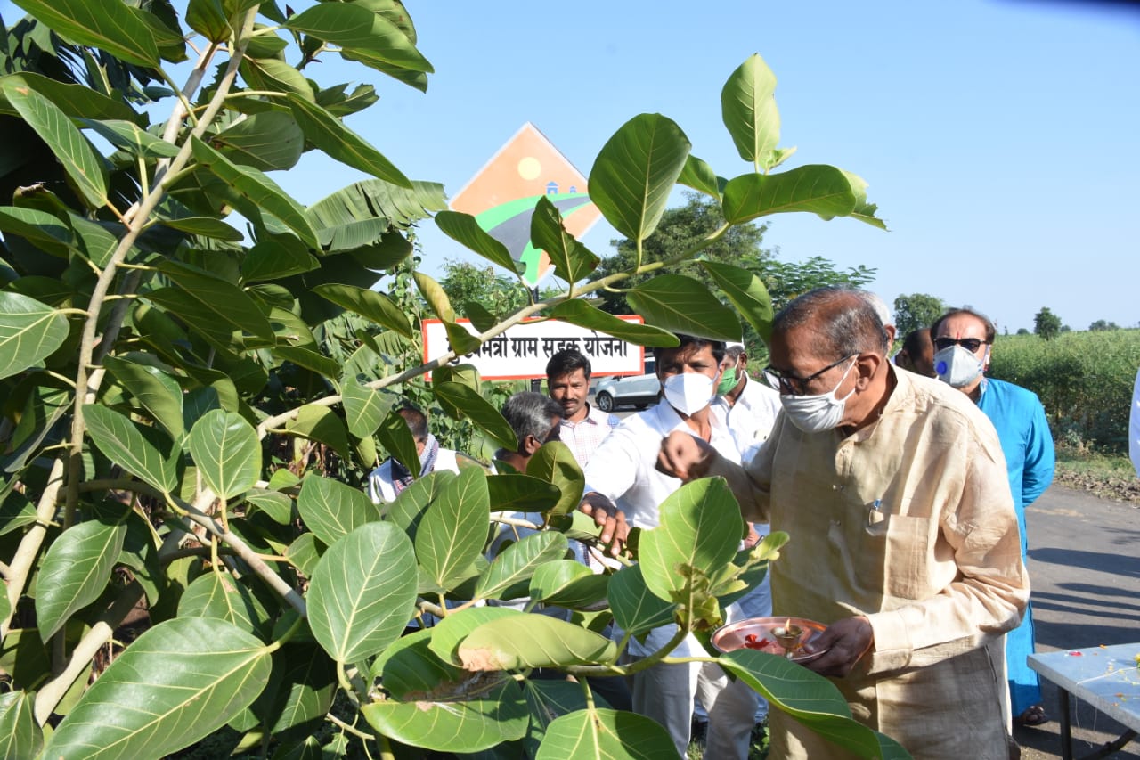 birthday of tree celebrated in Ghumawal