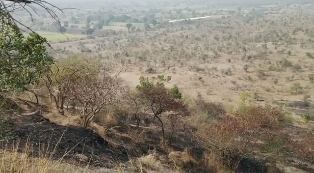 जळगाव; आगीत शिरसोली रोडजवळील 19 हेक्टरवरील गवत खाक