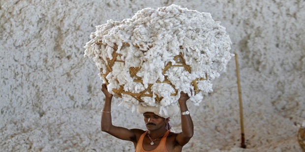 कापूस खरेदीसाठी जळगावातील जिनिंग उद्योजक सकारात्मक; शेतकऱ्यांना मोठा दिलासा