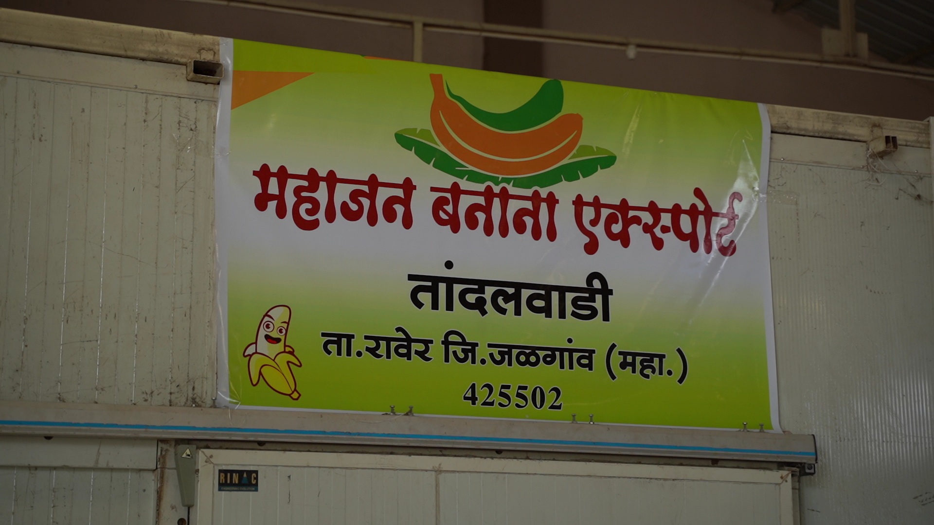 jalgaon gi certified banana