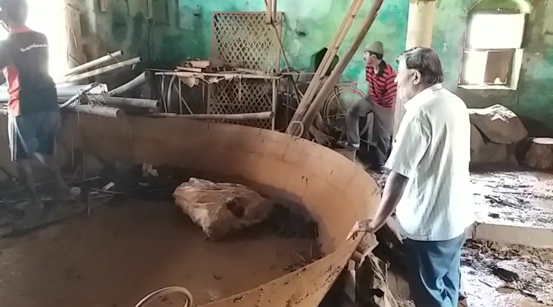 Jaggery growers in Chikhali