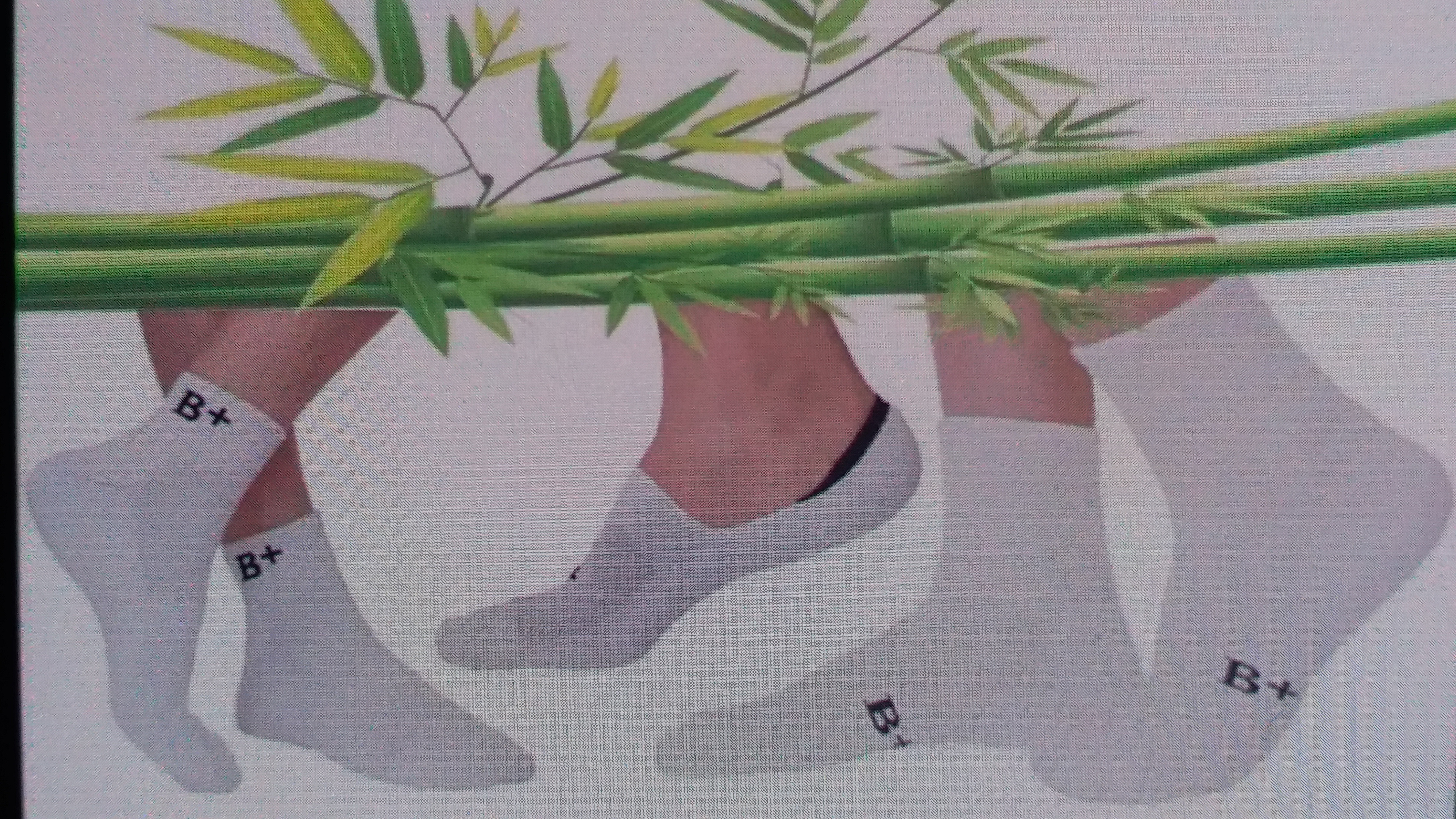 Socks made from bamboo