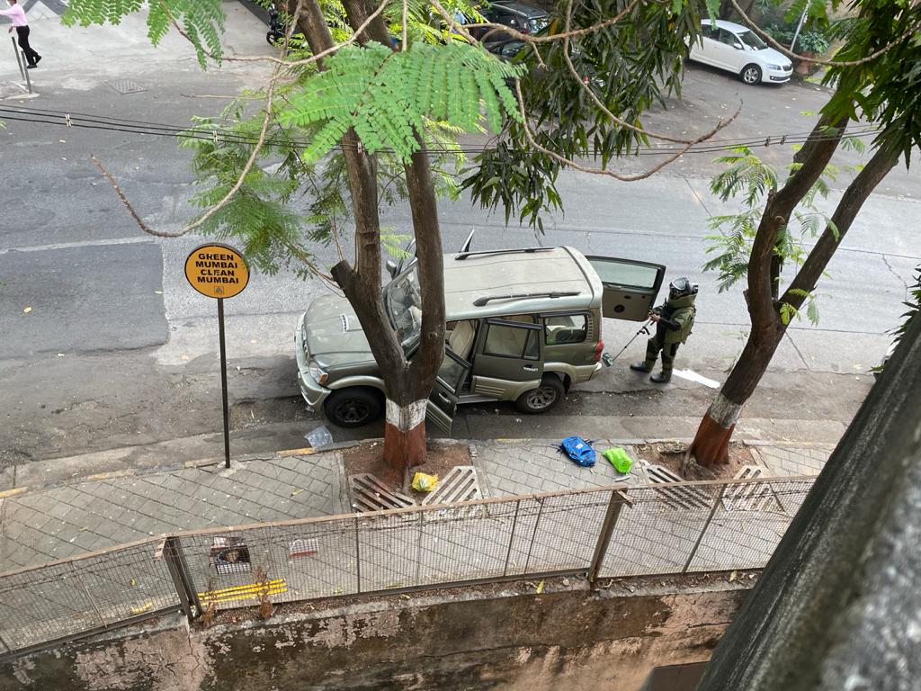 Gelatin sticks found near Antilia